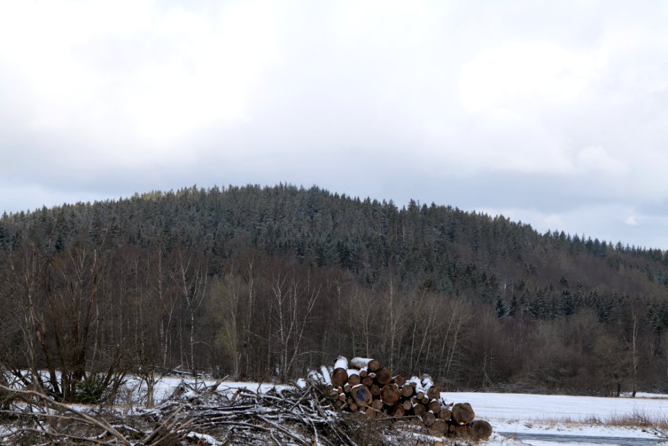 Taunus forest Schmitten with snow 2021-04-06 13