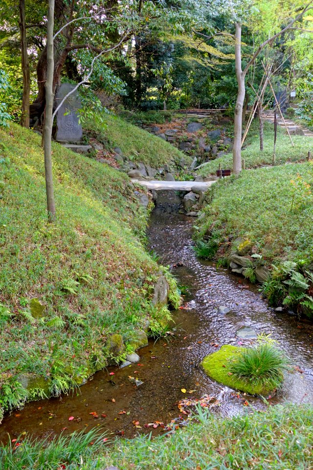 Tatsuta-gawa river - Koishikawa Korakuen - Tokyo, Japan - DSC06183