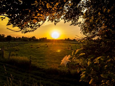 Twilight landscape nature photo