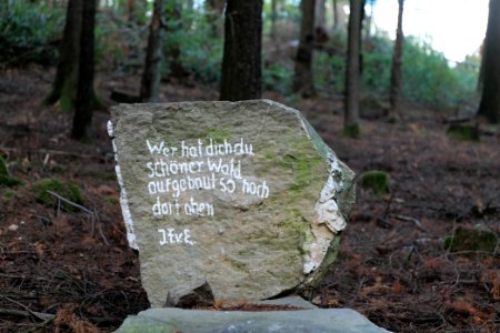 Taunus near Fuchsstein 2020-08-18 17