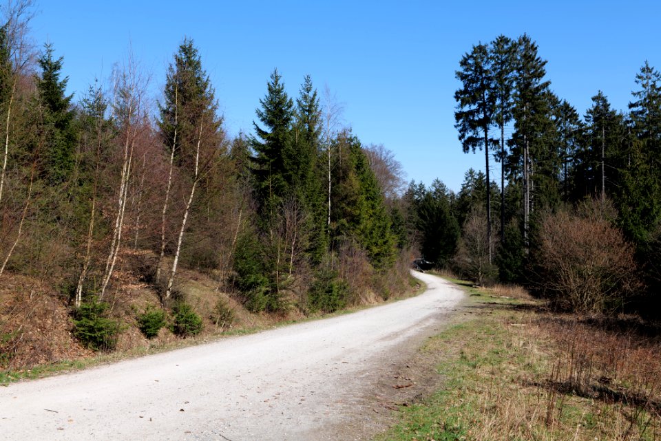 Taunus in Oberursel near Urselbach 2020-03-23 79