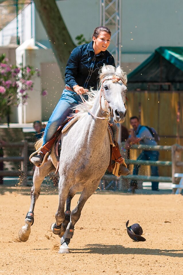 Equestrian horse barrel