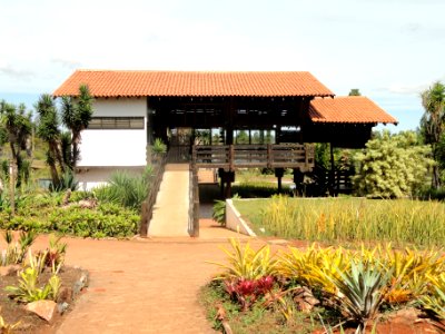 Tea House - Jardim Botânico de Brasília - DSC09759