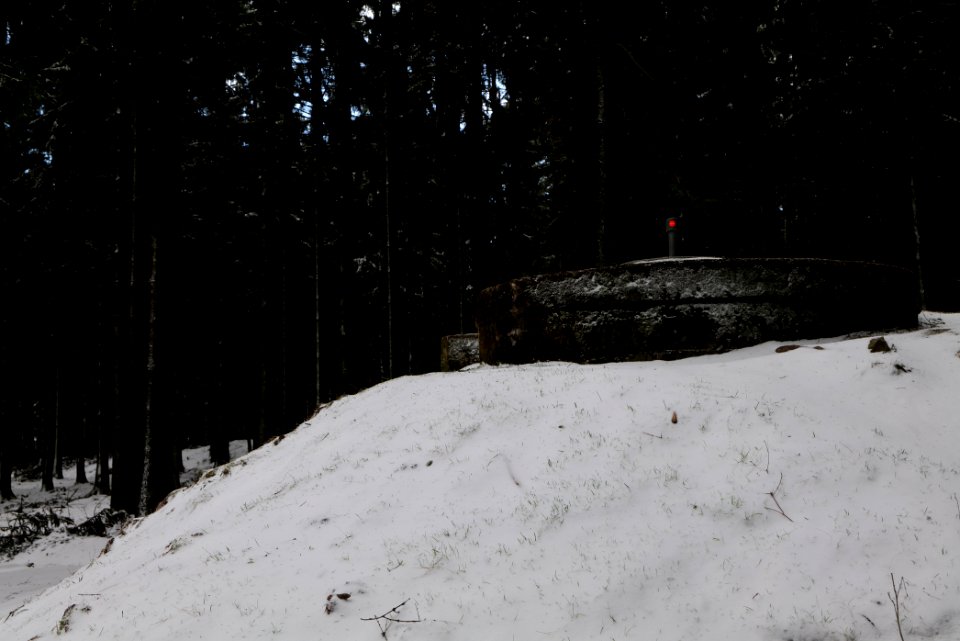 Taunus forest Schmitten with snow 2021-04-06 26