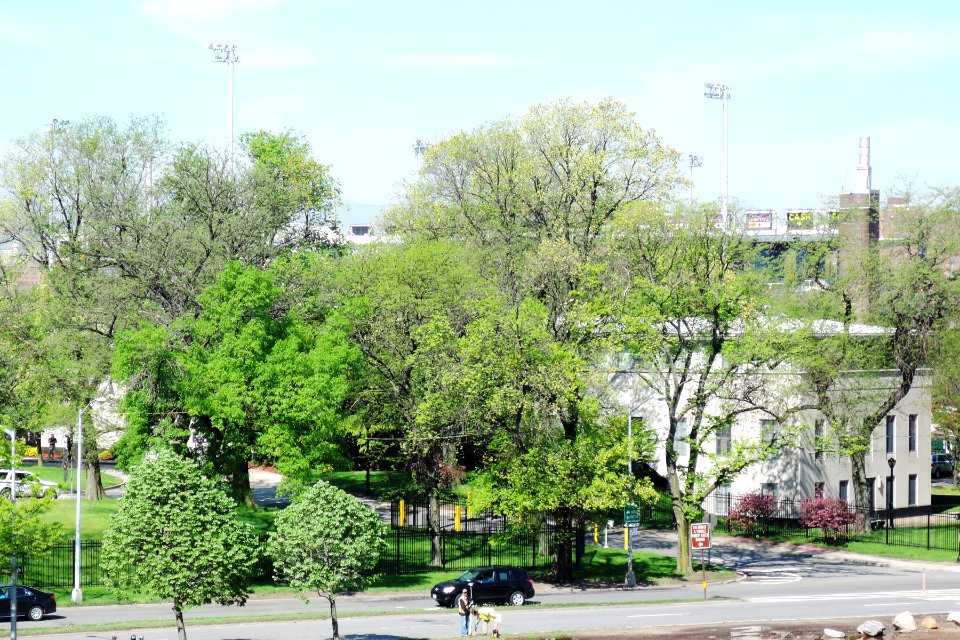 TBTA HQ from Bronx leg sunny jeh