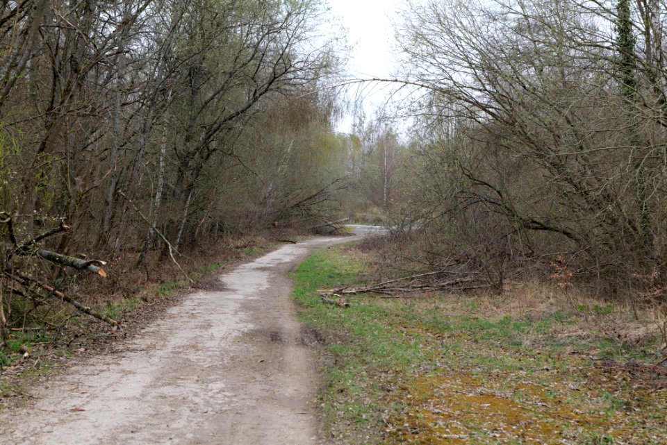 Taunus forest in Ober-Mörlen 2021-04-02 50