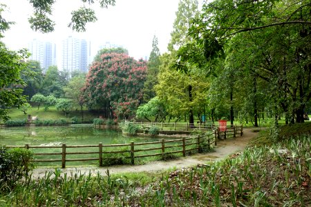 Tazishan Park - Chengdu, China - DSC03151