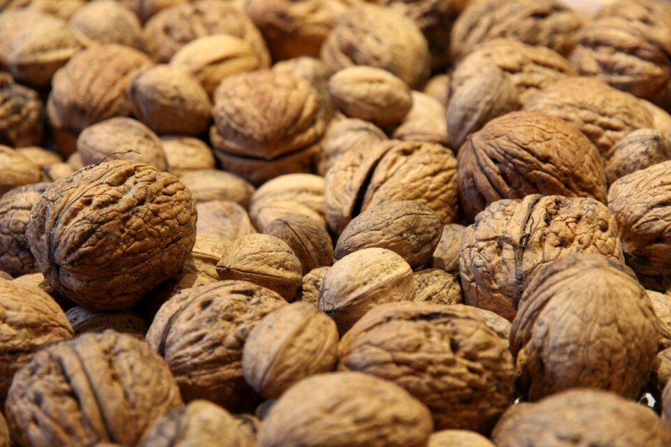 Walnut nuts close up