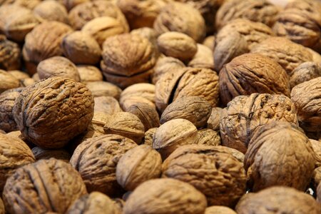 Walnut nuts close up photo