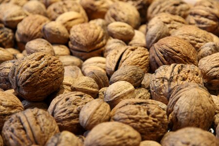 Walnut nuts close up