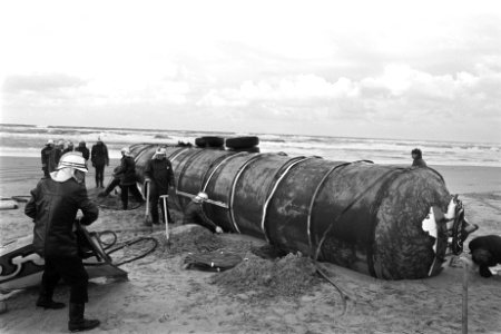 Tankwagen aangespoeld op strand Kijkduin (+ brandweerlied, Bestanddeelnr 929-4401