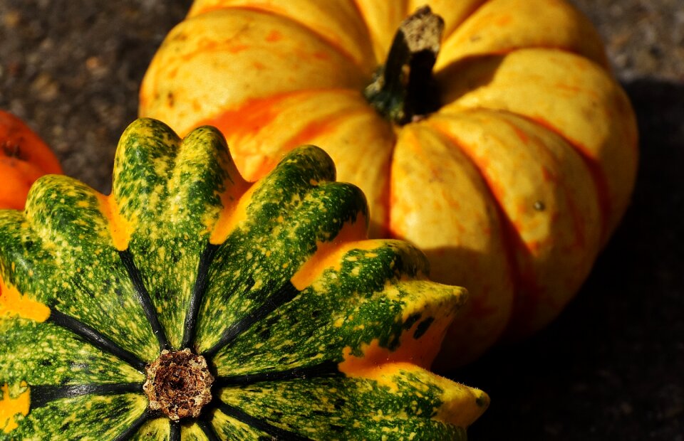 Autumn decoration colorful