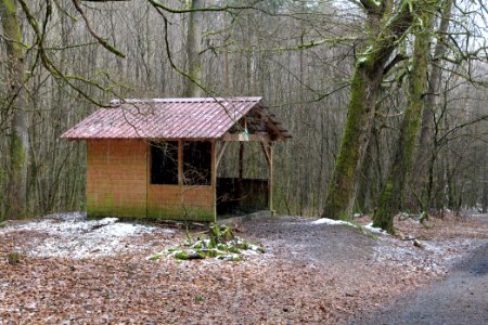 Taunus forest Dornholzhausen 2021-04-06 25