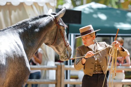 Horseback riding sport horse show