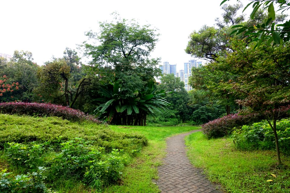 Tazishan Park - Chengdu, China - DSC03191
