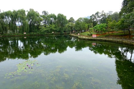 Tazishan Park - Chengdu, China - DSC03149