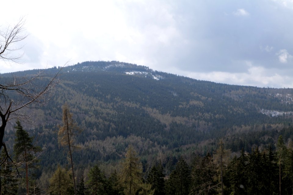 Taunus forest Oberstedten 2021-04-06 20