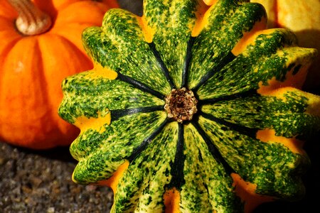 Autumn decoration colorful