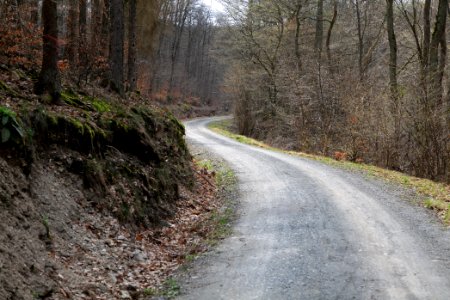 Taunus forest in Ober-Mörlen 2021-04-02 93