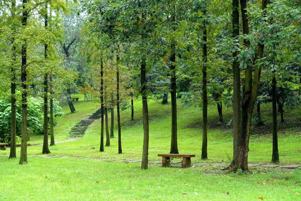 Tazishan Park - Chengdu, China - DSC03172
