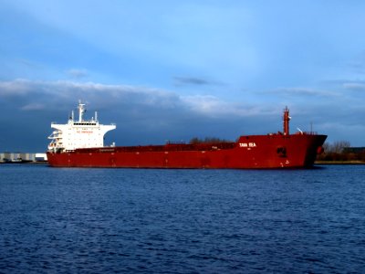 Tana Sea photo-4
