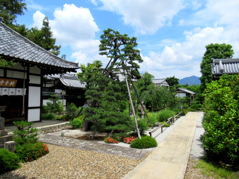 Tennei-ji Kyoto 005