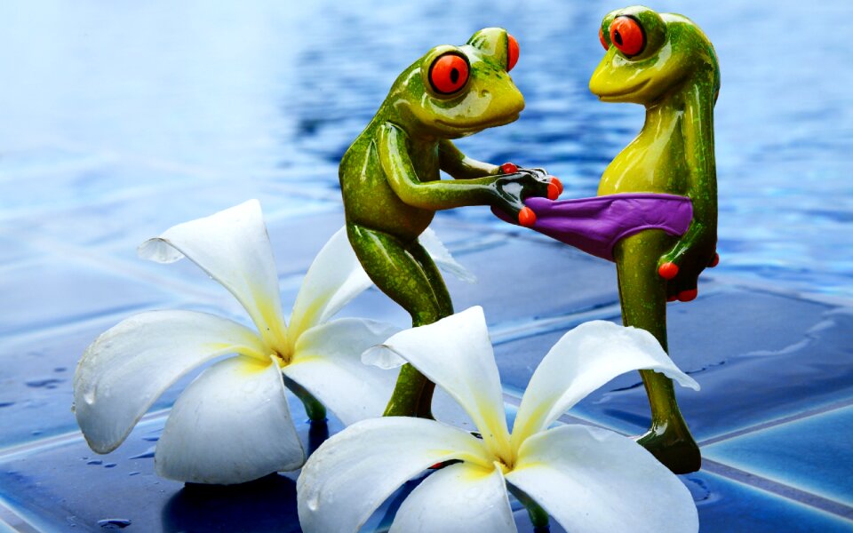 Swimming pool figures cute