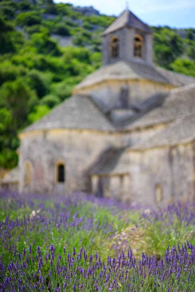Notre dame de sénanque the order of cistercians gordes