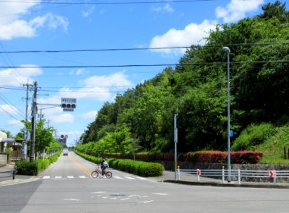 Tatsumigaoka-Poplar-Street-1