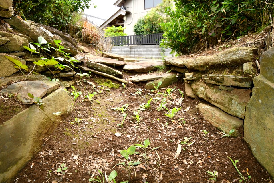 Taishi Kofun, sendou-2