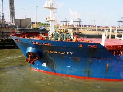 Tenacity - IMO 9647887, Port of Antwerp pic 9