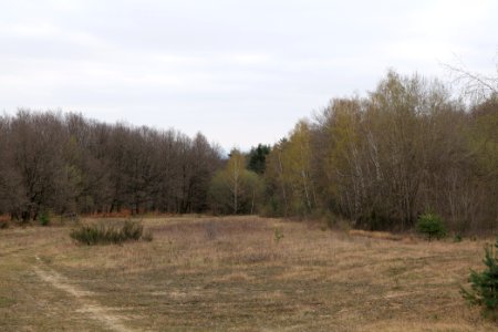 Taunus forest in Ober-Mörlen 2021-04-02 26