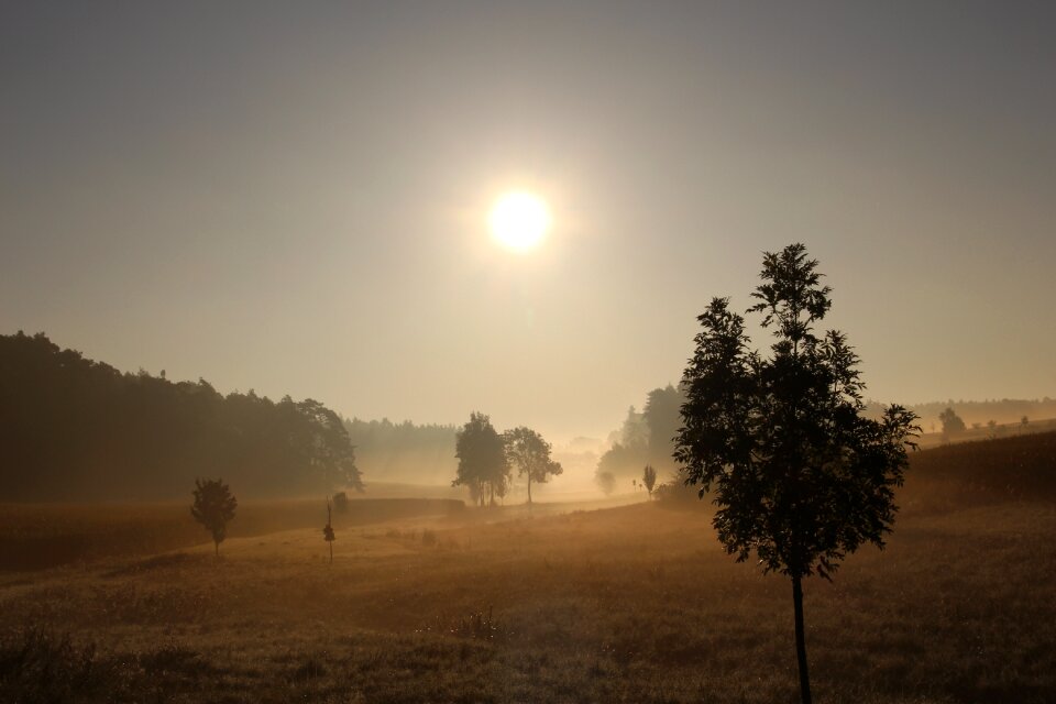 Hilly landscape misty photo