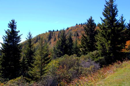Tanasee Bald October 2016