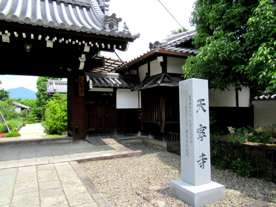 Tennei-ji Kyoto 004