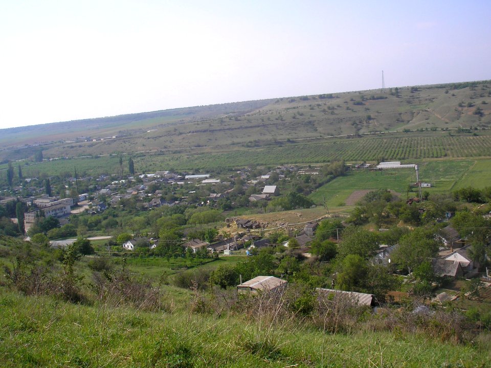 Tenistoe 12