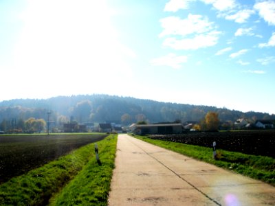 Tandl HIP (4)