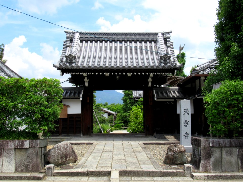 Tennei-ji Kyoto 002