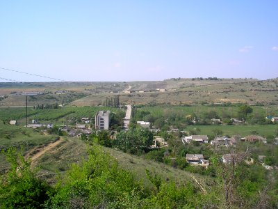 Tenistoe 5