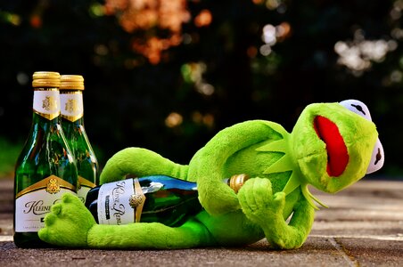Drink alcohol drunk