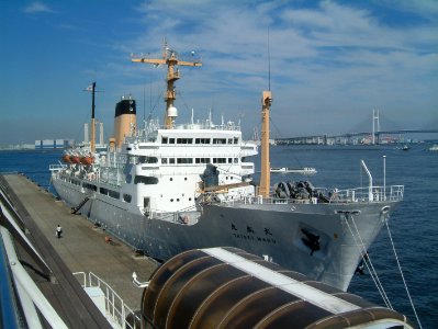Taisei-maru, a training ship of National Institute for Sea Training(NIST) ,at the Osanbashi Pier of Yokohama Port