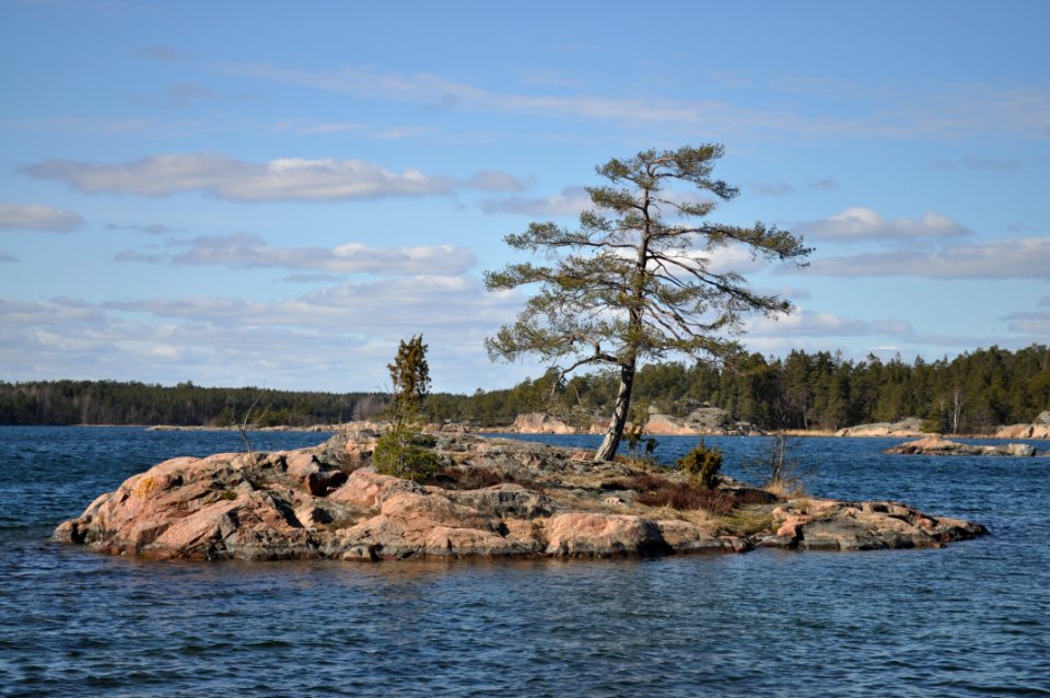 Tall på ö utanför Äspskär, Stendörren