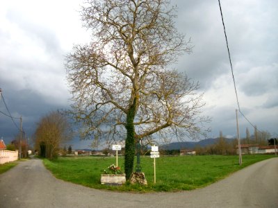 Taillebourg Haute-Garonne 01