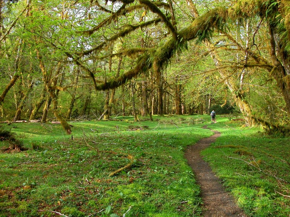 Scenic nature hiking