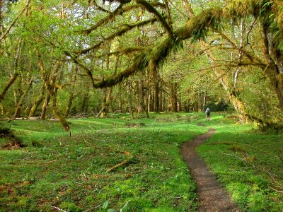 Scenic nature hiking