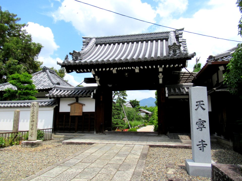 Tennei-ji Kyoto 001