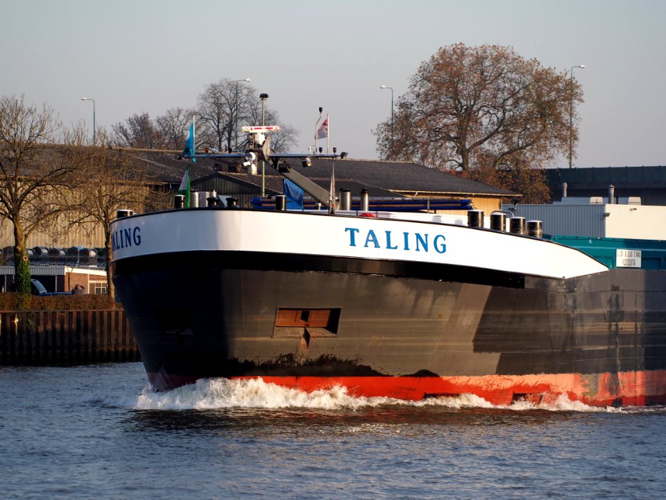 Taling, ENI 02332074 op het Amsterdam-Rijn kanaal, foto 4