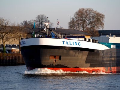 Taling, ENI 02332074 op het Amsterdam-Rijn kanaal, foto 4