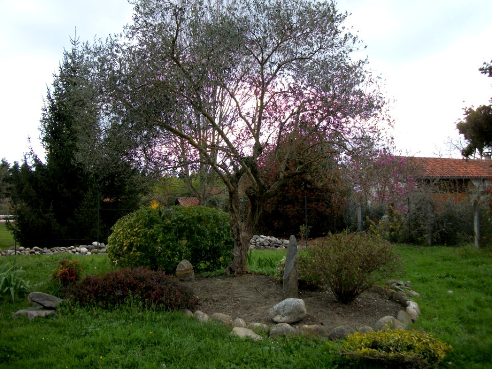 Taillebourg Haute-Garonne 15