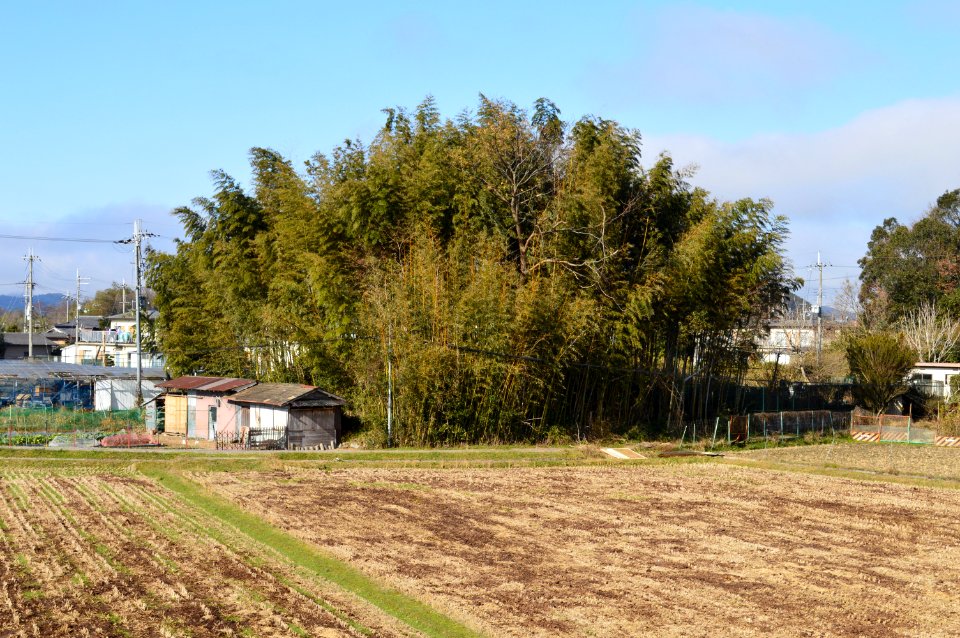 Tenjinzuka Kofun (Kameoka), zenkei